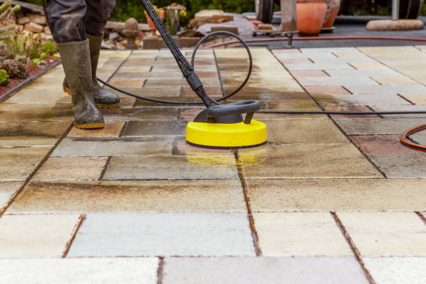 Best Gutter Cleaning  in Maysville, MO